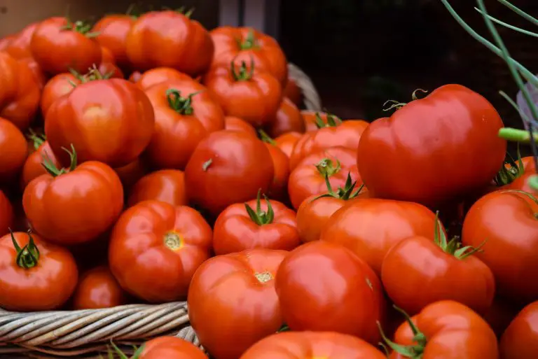 ¿Se puede comer tomate durante el embarazo?